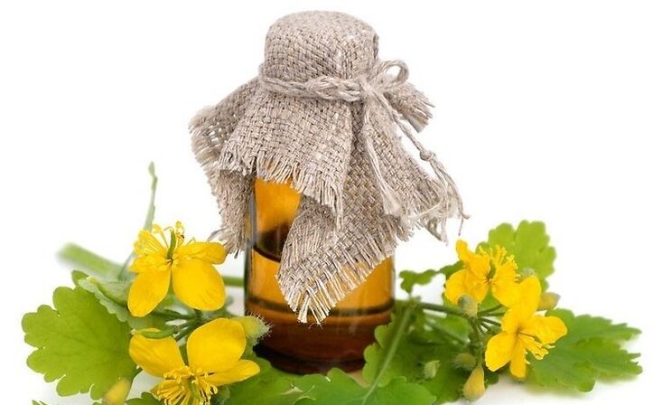Celandine juice for home treatment of fungal infection on the feet
